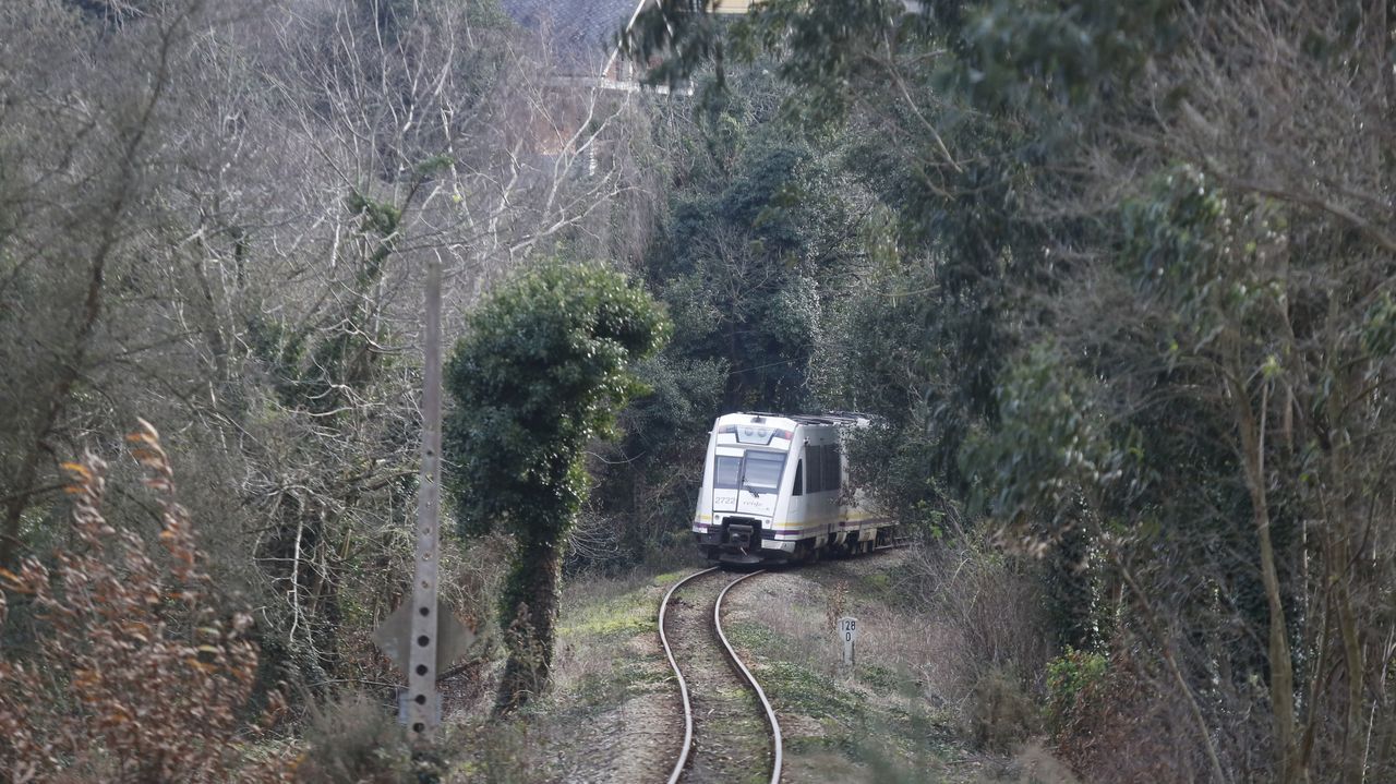 El Gobierno invertirá más de 13,5 millones en un tren herbicida para eliminar vegetación de las vías