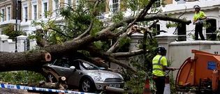 Varias personas murieron aplastadas dentro de sus coches al caerles �rboles encima, como muestra la foto, tomada en Londres.