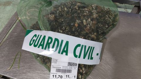 El marisco intervenido fue pesado en la lonja de Celeiro