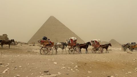 Carruajes de caballos con una de las pir�mides de Giza, al fondo.