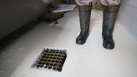 Los ganaderos gallegos�tiraron tanques de leche para denunciar la bajada de precios anunciada por la industria