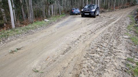 El Concello focense lleva aos recibiendo quejas ciudadanas por el mal estado en el que quedan muchas pistas y carreteras por donde circulan los camiones de madera