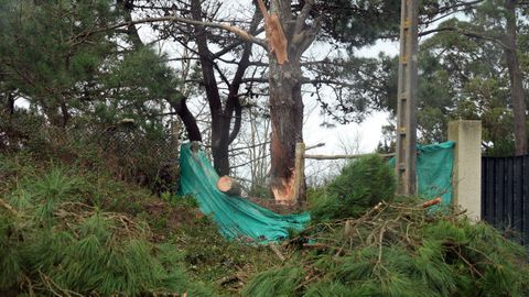 Otro �rbol call� sobre el cierre de una vivienda en Grad�n, A Illa