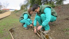 El parque completar� los trabajos que llevaron a cabo en el 2016 los alumnos del taller de empleo