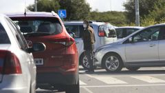Foto de archivo de un gorrilla en las inmediaciones del hospital lucense
