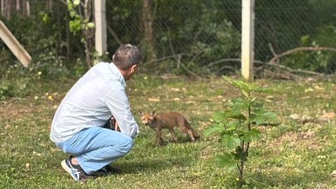 Trufi suele bajar todas las tardes a darse un paseo entre las Cabañas Rías Baixas