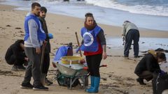 Foto de archivo de recogida de residuos impulsada por Noia Limpa