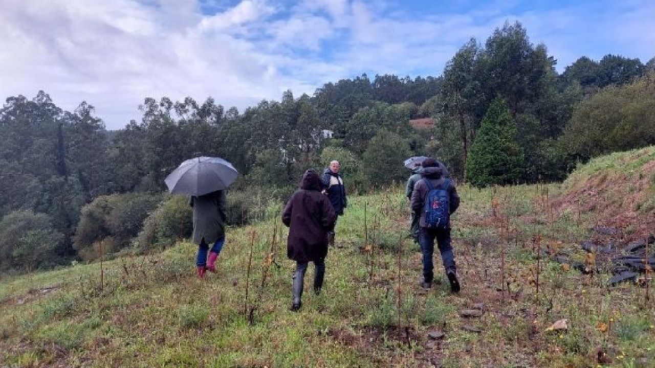 Un proyecto europeo valida en Paderne soluciones naturales para mejorar los viñedos