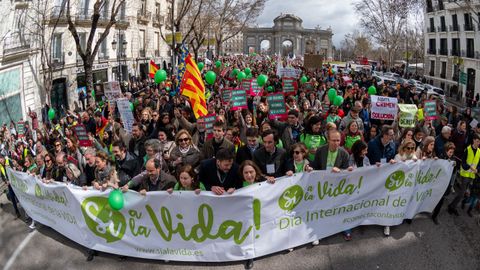 La marcha discurri entre la calle Serrano y Cibeles