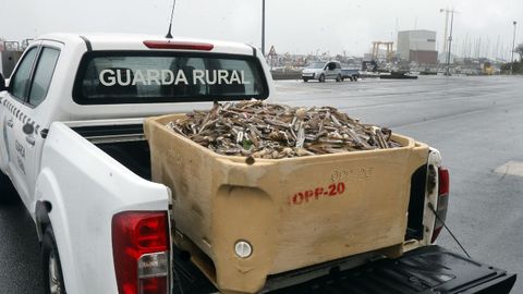 En A Illa, el sector de recursos espec�ficos retir� ayer m�s de 200 kilos de navaja muerta.