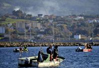 Mariscadores a flote sacando almeja del banco de As P�as para su comercializaci�n. 