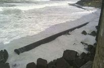 <span lang= es-es >Mira, v�ctima del temporal</span>. Las olas han desprendido dos grandes tuber�as de saneamiento de la planta acu�cola de Mira. En la imagen, una de ellas, de 200 metros de largo y 2 de di�metro, lleg� a Sintra.