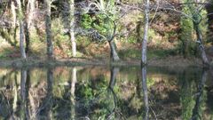 En la imagen, el r�o Eume discurriendo a trav�s de las fragas a las que da nombre.