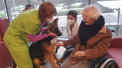 La residencia del Montep�o en Felechosa lleva a cabo un proyecto de canoterapia