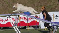 Prueba de Agility en Marc�n