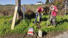 Trabajos de sealizacin de la Va Knig en el municipio de Lugo en el pasado otoo