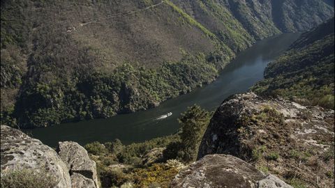 Una embarcacin turstica recorriendo el can del Sil, vista desde un tramo del camino
