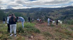 Alumnos del IES de Ponte Caldelas limpiando el monte y plantando �rboles, en el entorno del centro educativo, en una imagen de archivo