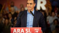 30/10/2019 Pedro Snchez dirigiendose a los asistentes del acto poltico en Viladecans (Barcelona), a 30 de octubre de 2019.