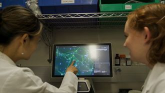 Nan Yang, la coordinadora del trabajo, a la izquierda, en su laboratorio de la Escuela Icahn de Medicina del hospital Monte Sinai de Nueva York examinando los circuitos cerebrales