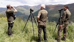 Dispositivo de viligancia activado en Cangas del Narcea para buscar al oso que atac� a una mujer en Sonande