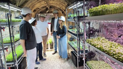 El Gobierno de Asturias impulsa los primeros cultivos subterr�neos del pa�s con un proyecto de agricultura minera en el pozo Carrio de Laviana