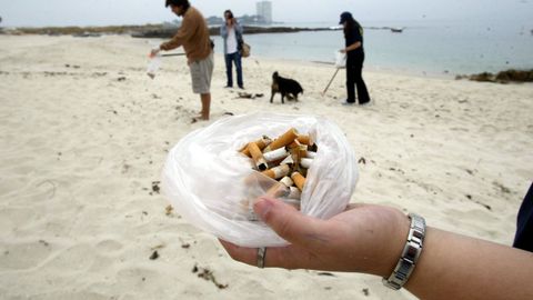 Parte de las colillas retiradas en una jornada de recogida de basura en una playa de Vigo (foto de archivo)