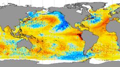 El mapa global de la temperatura del mar muestra las intensas anomal�as en la parte oriental del Pac�fico y el Atl�ntico