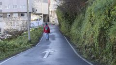 El Ayuntamiento de A Coru�a desbroz� el pasado viernes por la tarde las cunetas de la calle Montes