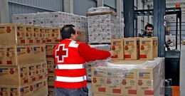 Imagen de excedentes que recibe la Cruz Roja de la UE y que despu�s reparte por toda Galicia.
