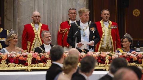 El rey de los Países Bajos se dirige a los invitados a la cena de gala 