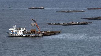 Un barco extrae mejillones de una batea en la r�a de Arousa (foto de archivo).