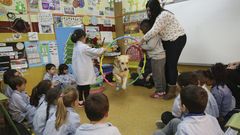 Los perros ayudan a los ni�os a interiorizar normas b�sicas y a socializar