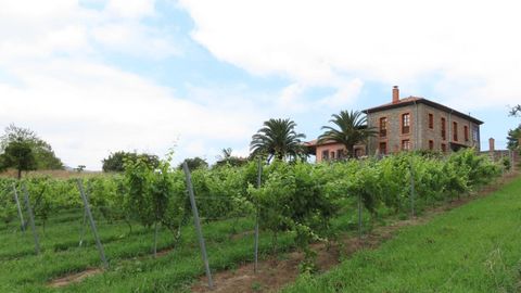 Finca Los Vi�ones, donde se produce el primer albari�o de Asturias