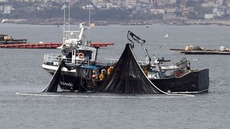 El cerquero Novo Rosymar, con base en Cambados, recogiendo el aparejo en febrero del 2024.