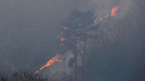  Uno de los focos del incendio declarado ayer lunes en la Sierra de Sollera, en los concejos de Grado, Candamo y Salas, que ha sido estabilizado a lo largo de la noche por los bomberos del Servicio de Emergencias del Principado de Asturias (SEPA), aunque varios focos permanecen activos dentro un per�metro controlado. 