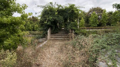 En las zonas verdes prolifera la maleza