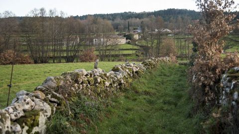 Un tramo del camino entre los pueblos de Noguedo y Paradela