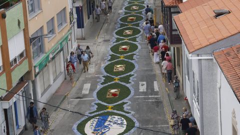 Alfombras Florales de Ares