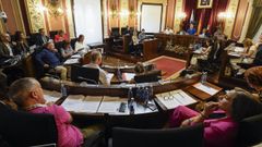Imagen del pleno celebrado este viernes en el Concello de Ourense.