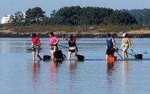 Las mariscadoras realizan su trabajo bajo altas temperaturas ya a primera hora de la ma�ana.