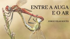 Imaxe promocional da exposici�n que se abrir� este venres en Baio 