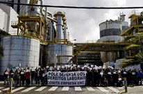 Las primeras protestas de la plantilla de Ence en Louriz�n consistieron en concentraciones diarias.