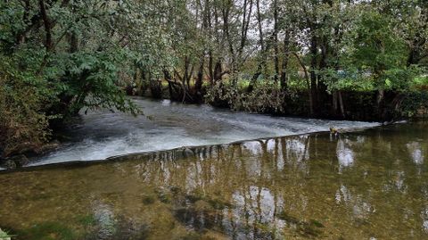 Río Arnoia, en Vilar de Barrio