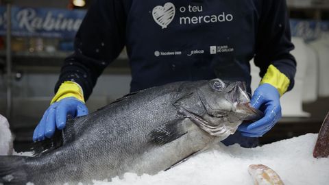 Marisco y pescado en la coruesa Plaza de Lugo