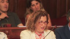 Deus, en el transcurso de un pleno municipal. 