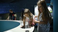 La alimentaci�n es protagonista en la nueva Domus