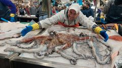 Un pulpo de 13,5 kilos a la venta en el �ltimo d�a de plaza del 2023 en Pontevedra