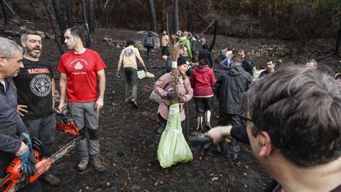 Limpiaron el terreno quemado de maleza para realizar despus la plantacin