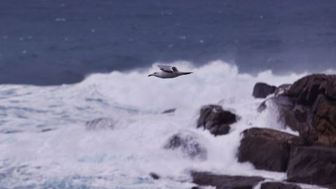 A Coru�a vive este mi�rcoles un nuevo temporal mar�timo, con aviso rojo por olas de hasta nueve metros de altura